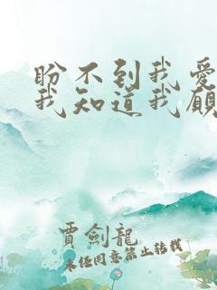 盼不到我爱的人我知道我愿意再等