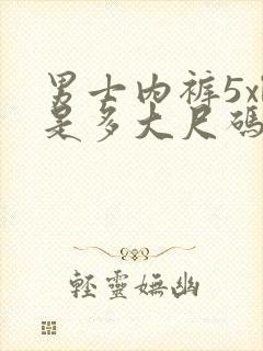 男士内裤5xl是多大尺码