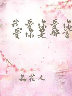 我爱你爱你爱你爱你是哪首歌