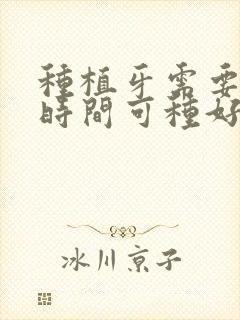 种植牙需要多久时间可种好