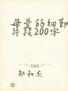 母爱的细节描写片段200字