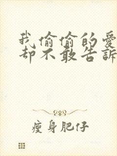 我偷偷的爱上你却不敢告诉你歌词