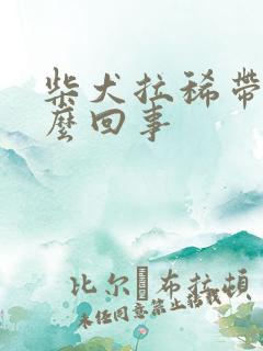 柴犬拉稀带血怎么回事