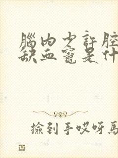 脑内少许腔梗灶缺血灶是什么意思