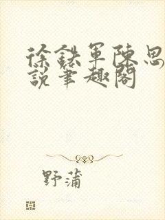 徐铁军陈思雅小说笔趣阁