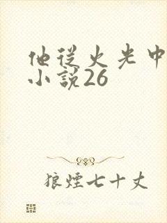 他从火光中走来小说26