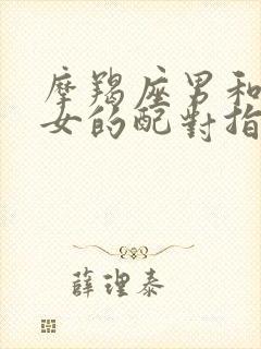 摩羯座男和射手女的配对指数