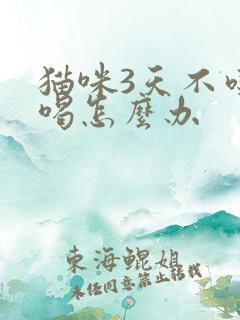 猫咪3天不吃不喝怎么办