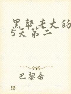 黑帮老大的365天第二