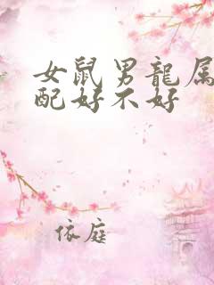 女鼠男龙属相婚配好不好