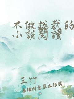 不做总裁的替身小说阅读