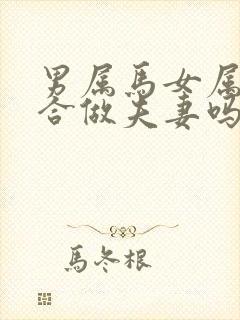 男属马女属蛇适合做夫妻吗