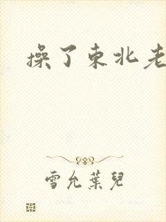 操了东北老女人