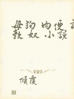 母狗 肉便 调教 奴 小说