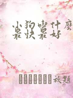 小狗吃什么下奶最快最好