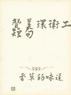 赞美环卫工人的短句