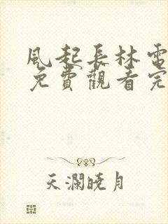 风起长林电视剧免费观看完整版