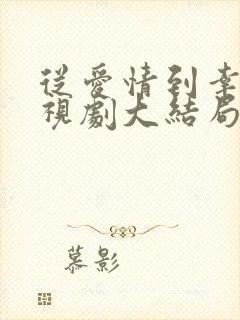 从爱情到幸福电视剧大结局