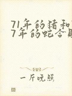 71年的猪和77年的蛇合财吗