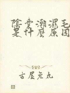 阴囊潮湿毛瘙痒是什么原因造成的