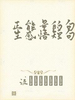 正能量的句子人生感悟短句