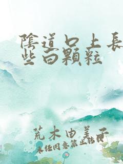 阴道口上长了一些白颗粒