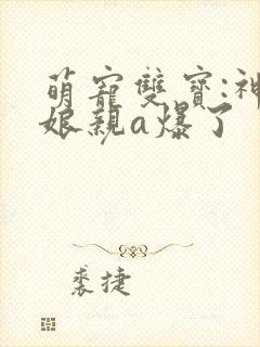 萌宠双宝:神医娘亲a爆了