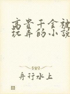 高贵千金被调教玩弄的小说