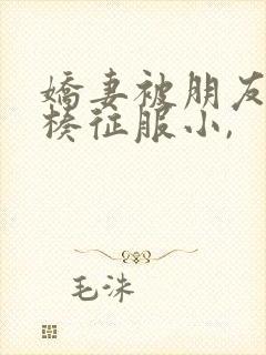 娇妻被朋友大肉楱征服小,