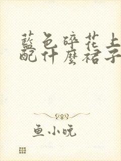 蓝色碎花上衣搭配什么裙子