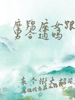 摩羯座女跟双鱼男合适吗