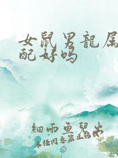 女鼠男龙属相婚配好吗