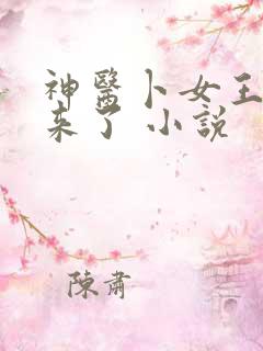 神医卜女王妃回来了 小说