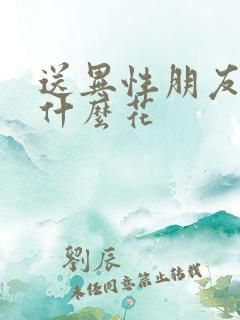 送异性朋友适合什么花