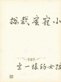 总裁蜜宠小萌妻