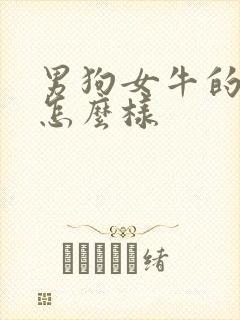 男狗女牛的婚姻怎么样