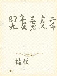 87年三月二十九属兔人命运怎么样
