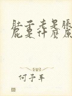 肚子老是胀气放屁是什么原因造成的