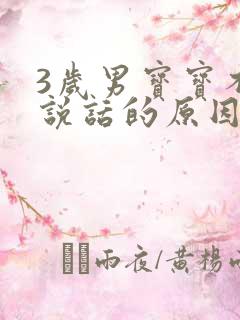 3岁男宝宝不会说话的原因