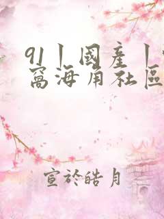 91丨国产丨蚪窝海角社区
