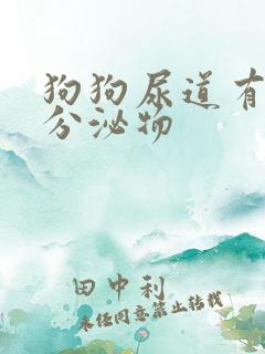 狗狗尿道有黄色分泌物