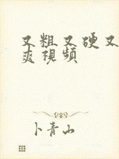 又粗又硬又长又爽视频