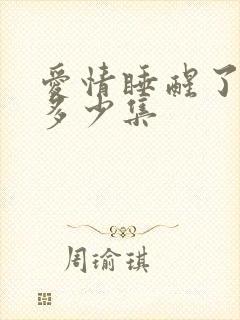 爱情睡醒了一共多少集