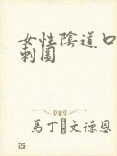 女性阴道口有肉刺图