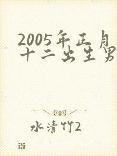 2005年正月十二出生男孩命运