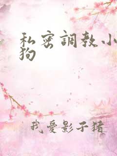 私密调教小骚母狗