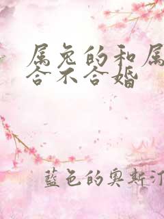 属兔的和属猪的合不合婚