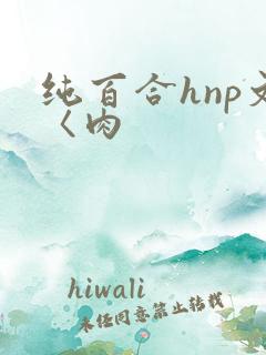 纯百合hnp文〈肉