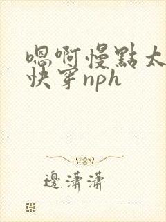 嗯啊慢点太大了快穿nph