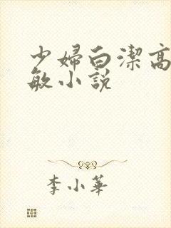 少妇白洁高义张敏小说